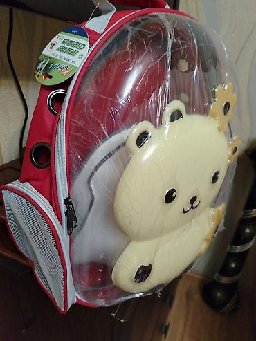 Uşaq üçün bel çantası - Rəng: qırmızı/ağ detallı - Ön hissə: şəffaf - şəkil 2