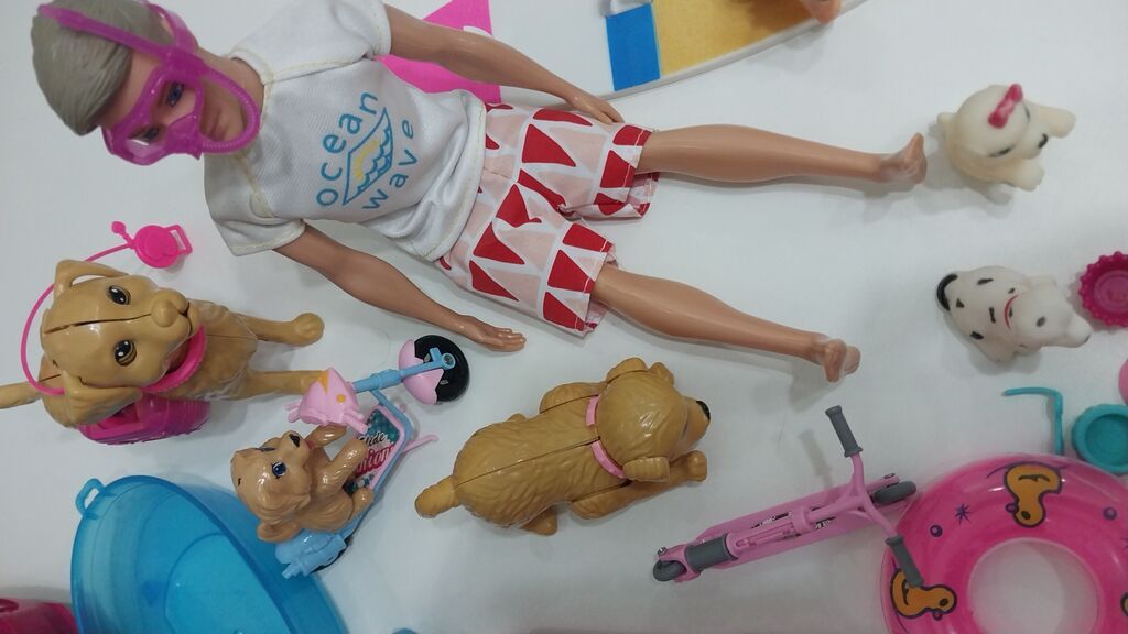 Ken ve ev heyvanları aksessuarlar mashin hamisi birlikde 35man