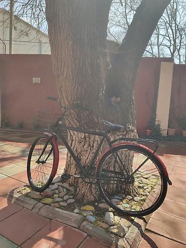 Şəhər/kruser tipli velosiped Velosipedin heç bir problemi yoxdur Çox - şəkil 5