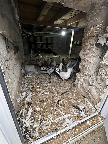 3 otaqlı, 200 kv. m, Kredit yoxdur, Yeni təmirli - şəkil 5