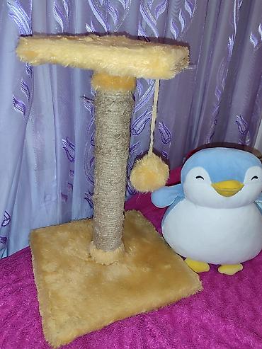 Pişik üçün tirma və oyun stanoku - Material: sisal iplə bərkidilmiş - şəkil 3