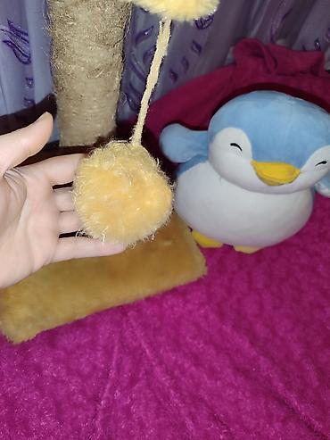 Pişik üçün tirma və oyun stanoku - Material: sisal iplə bərkidilmiş - şəkil 5