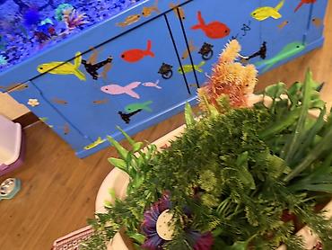 Продается аквариум 2 м с рыбами все вместе рыбы декор и - şəkil 5