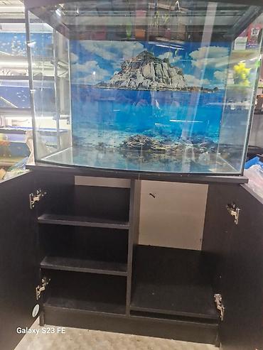 Akvarium-şkaf, Boş, 210 l, Ödənişli çatdırılma, Pulsuz çatdırılma - şəkil 2