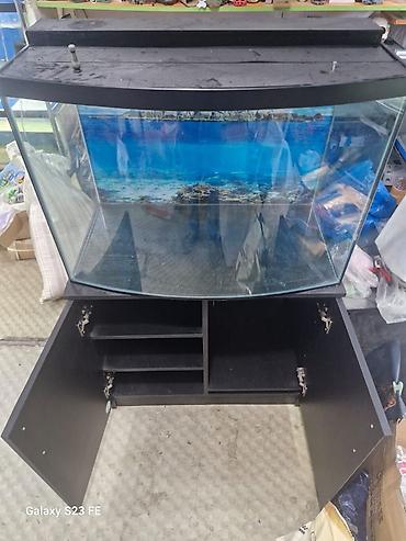 Akvarium-şkaf, Boş, 210 l, Ödənişli çatdırılma, Pulsuz çatdırılma - şəkil 3