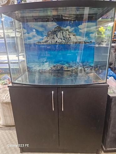 Akvarium-şkaf, Boş, 210 l, Ödənişli çatdırılma, Pulsuz çatdırılma - şəkil 4