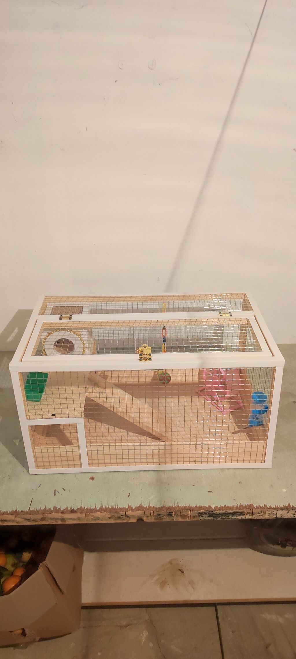 Hamster/kiçik gəmirici üçün geniş taxta