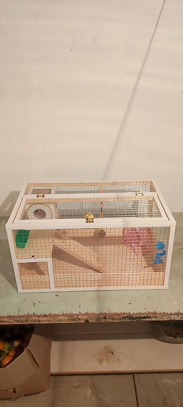 Hamster/kiçik gəmirici üçün geniş taxta - şəkil 2