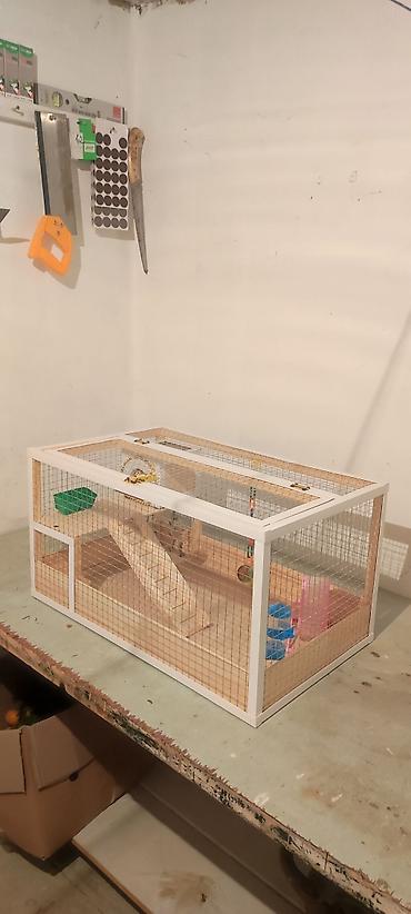 Hamster/kiçik gəmirici üçün geniş taxta - şəkil 3