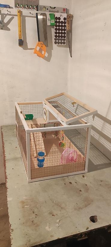 Hamster/kiçik gəmirici üçün geniş taxta - şəkil 4