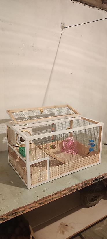 Hamster/kiçik gəmirici üçün geniş taxta - şəkil 5