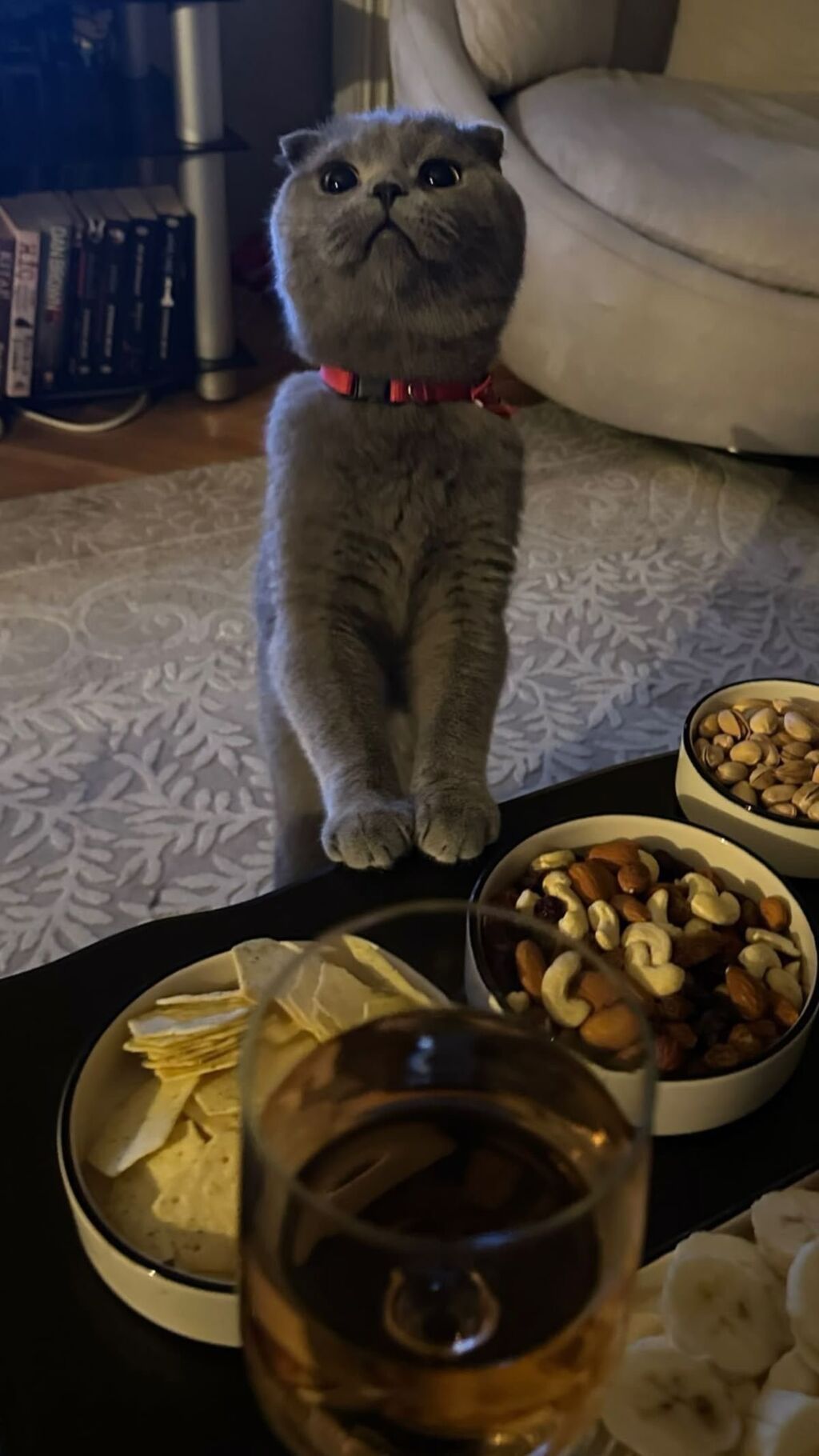 Ofisiant, Qadın, 28 yaş, 3-5 illik təcrübə