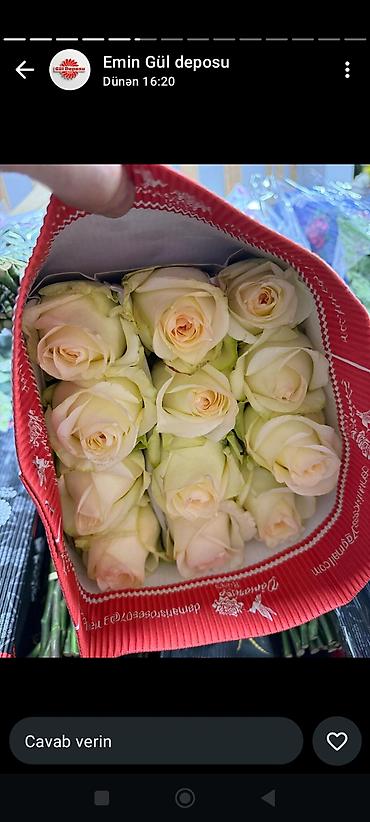 101-roza 150₼ - Növ: roza (kəsilmiş, bağlamada) - Rənglər: dərin - şəkil 3