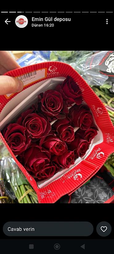 101-roza 150₼ - Növ: roza (kəsilmiş, bağlamada) - Rənglər: dərin - şəkil 2