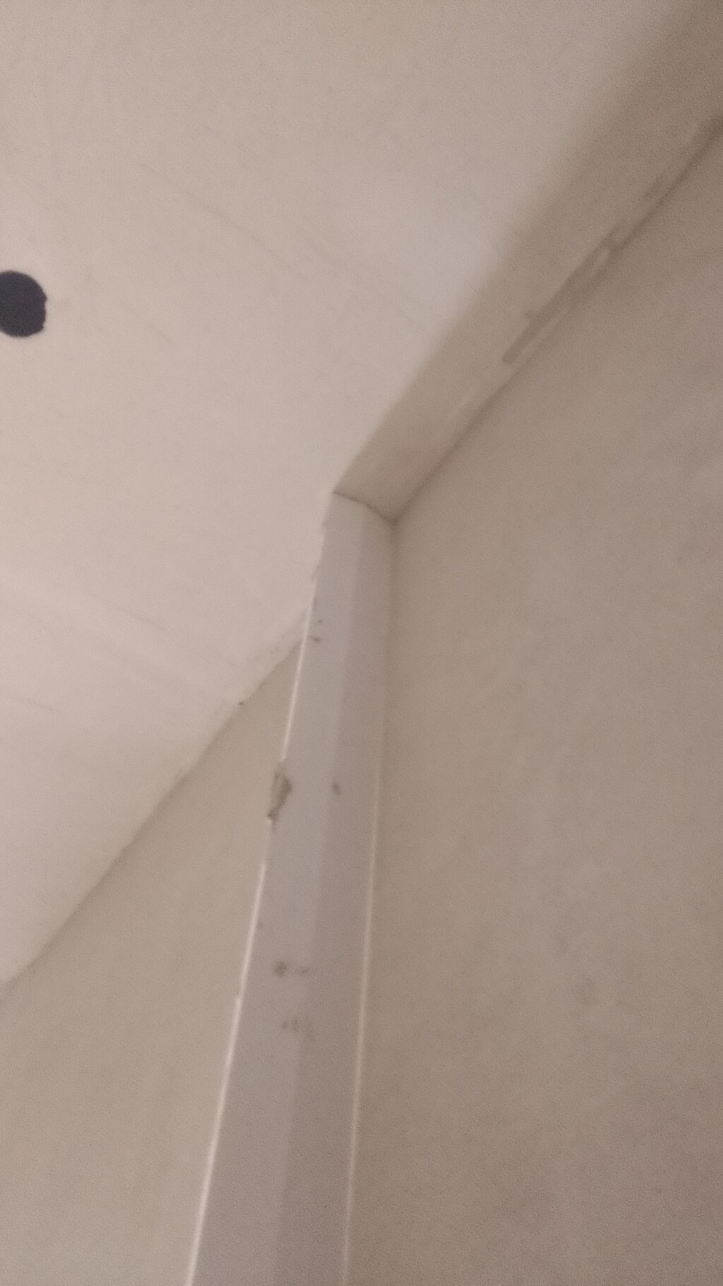 Spaklyovka 3 sloy 5azn tam təhvil. oboy vurulması 3 AZN tam