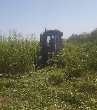 Salam. Topdan satışdır. Ünvana çatdırılma var. Bütün rayonlarına - şəkil 5