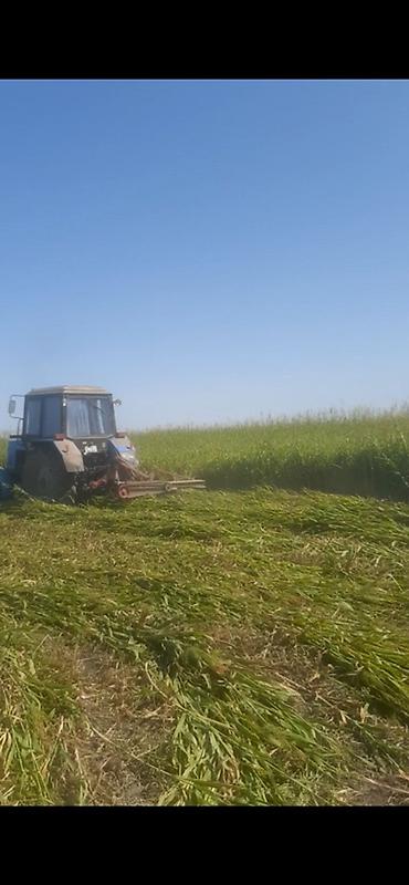 Salam. Topdan satışdır. Ünvana çatdırılma var. Bütün rayonlarına - şəkil 4
