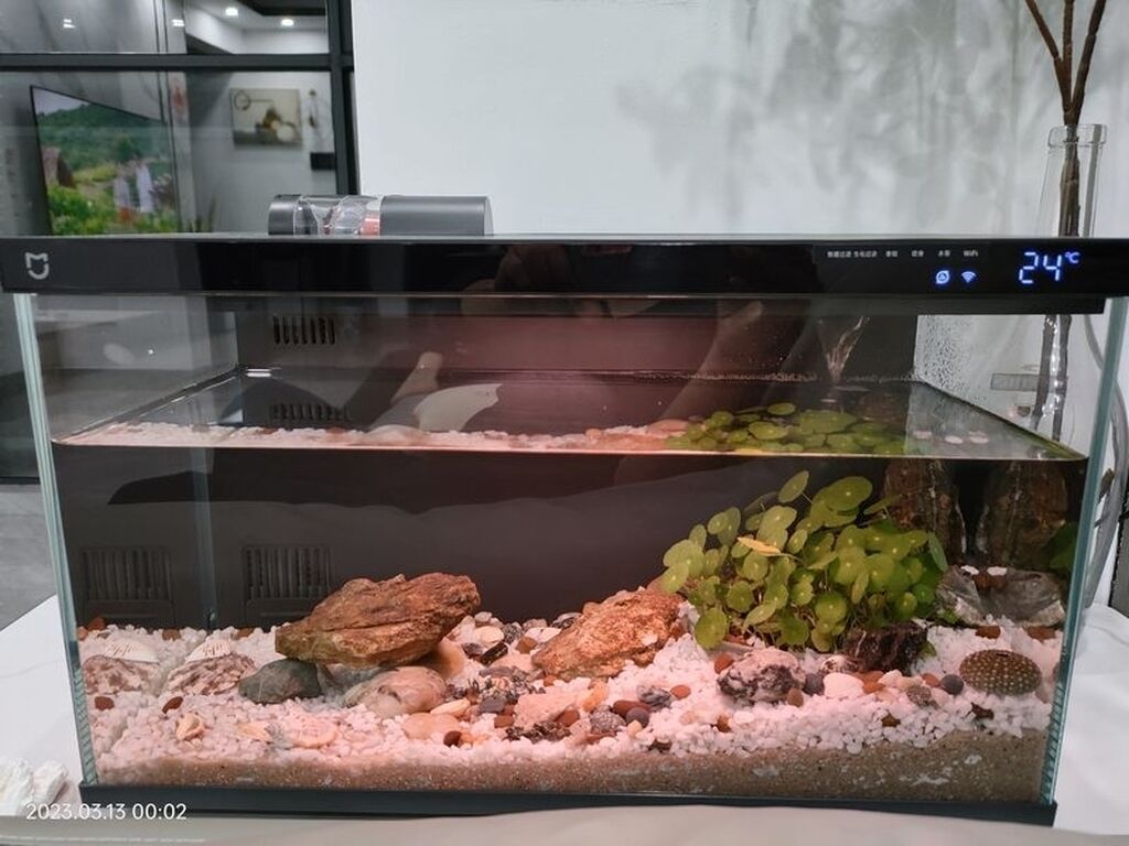 Xiaomi Ağıllı (Smart) akvarium - Şüşə korpuslu, minimal dizaynlı