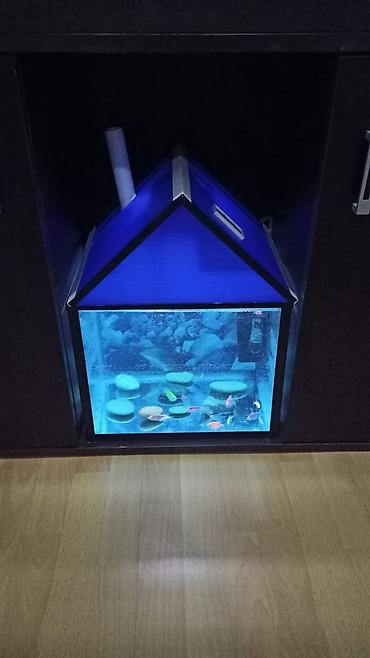 Dördbucaq akvarium, 30 l, Ünvandan götürmə - şəkil 3