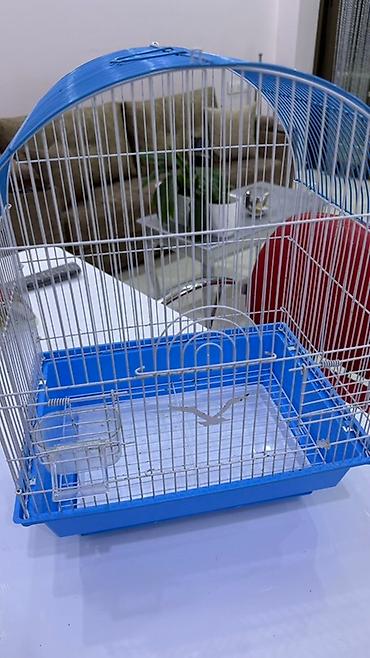 Quş qəfəsi – metal korpuslu, mavi plastik altlıqlı model Qiymət - şəkil 2