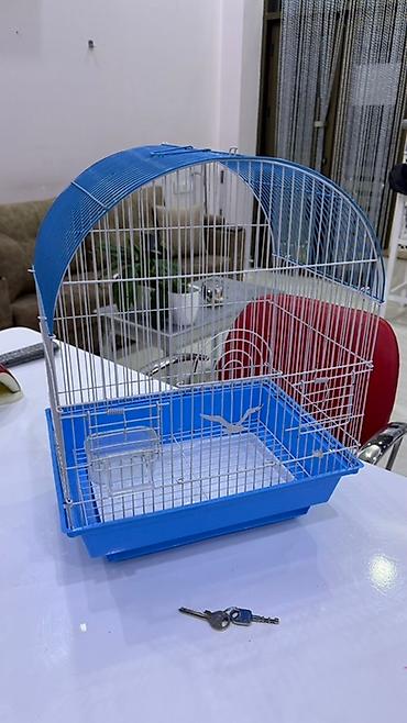 Quş qəfəsi – metal korpuslu, mavi plastik altlıqlı model Qiymət - şəkil 3