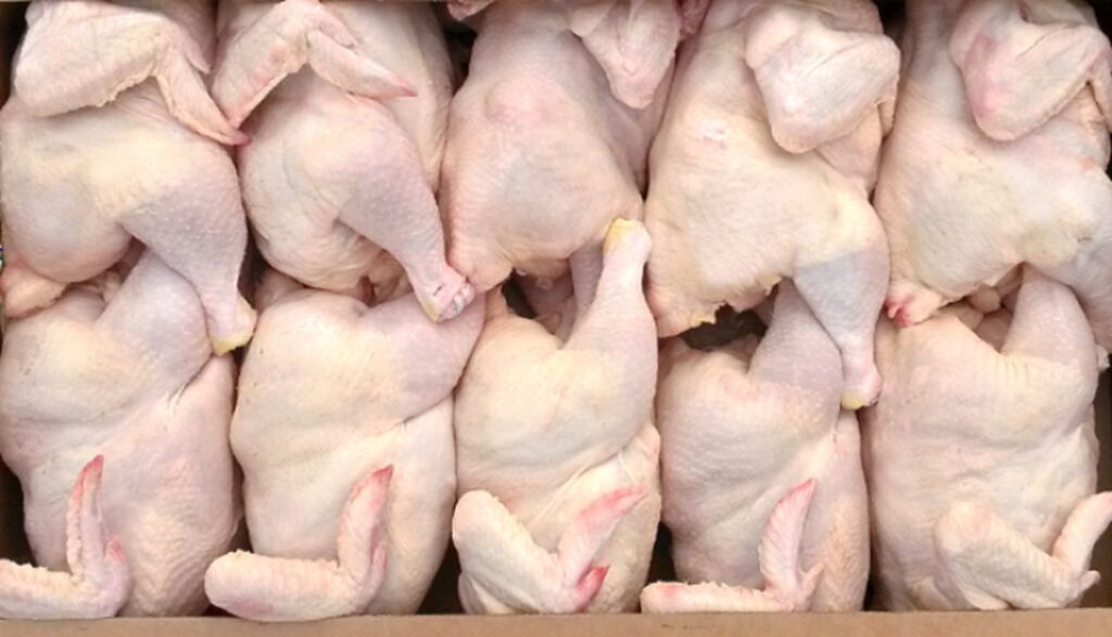 Digər brend Toyuq Bütöv, Topdan, Ünvandan götürmə, Pulsuz çatdırılma, Ödənişli çatdırılma