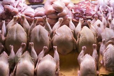 Digər brend Toyuq Bütöv, Topdan, Ünvandan götürmə, Pulsuz çatdırılma, Ödənişli çatdırılma - şəkil 3