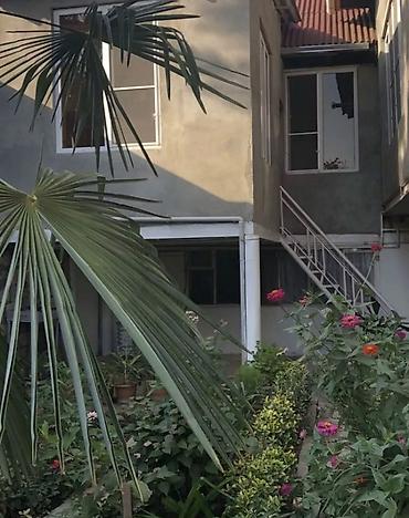 50 kv. m, 2 otaqlı - şəkil 2