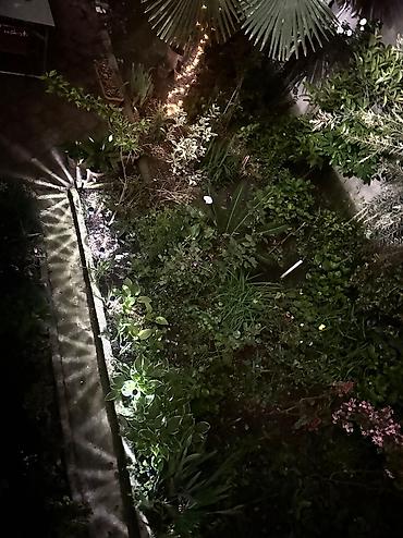 50 kv. m, 2 otaqlı - şəkil 4