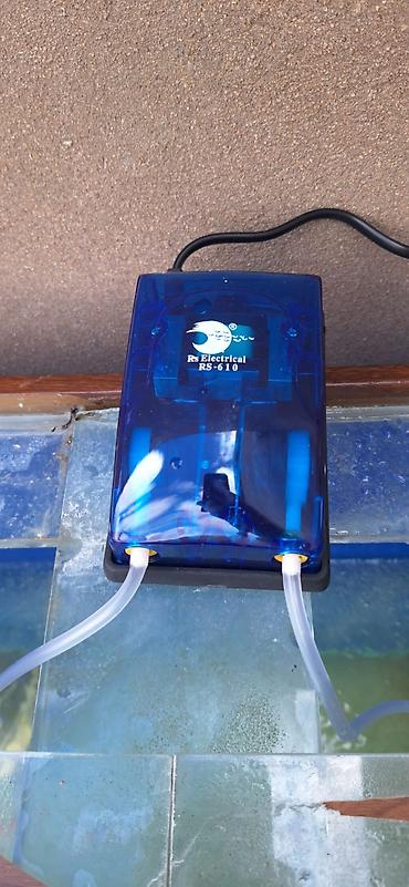 RS Electrical RS-610 akvarium hava nasosu ve 75 sm hava daşı 1 gundu - şəkil 2