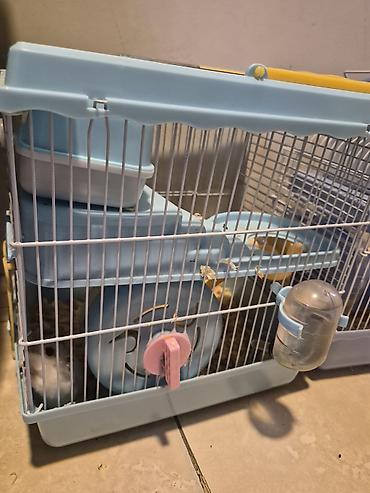 9 eded xamyak apilkasi yemi evi her weyi var - şəkil 4