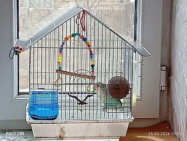Qəfəs və aksessuarlar bir yerdə satılır - şəkil 3