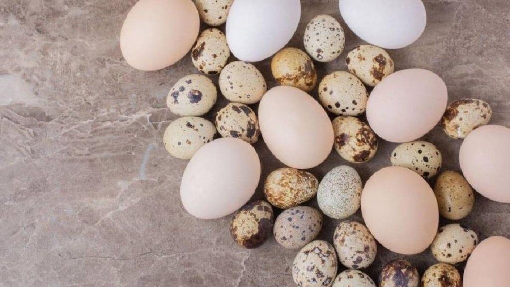 Kend yumurtası yeyinti ve mayali 30 qepik. bildirçin yumurtası 15