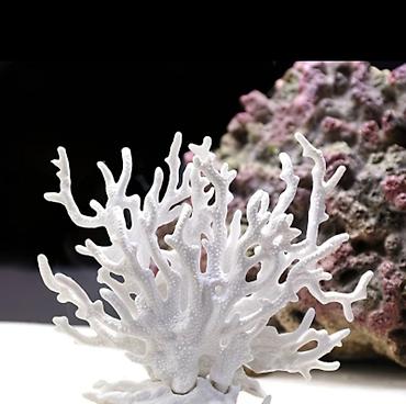 Təzədir işlənməyib lazım olmadı deyə satıram 4ü 15m - şəkil 2