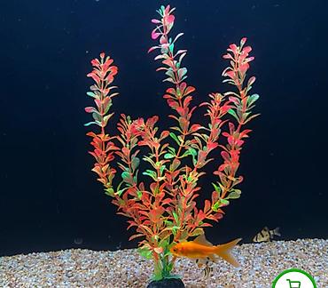 Təzədir işlənməyib lazım olmadı deyə satıram 4ü 15m - şəkil 3