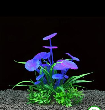 Təzədir işlənməyib lazım olmadı deyə satıram 4ü 15m - şəkil 4