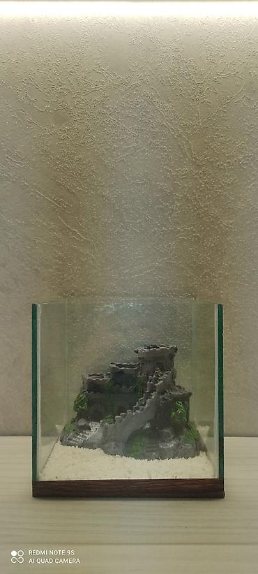 Gördüğünuz akvaryum 3l 15x15x15olcudedir kvadrat formalı betta - şəkil 2