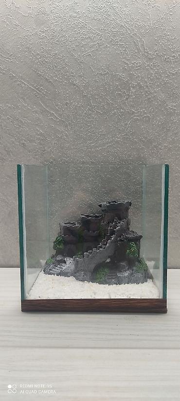 Gördüğünuz akvaryum 3l 15x15x15olcudedir kvadrat formalı betta - şəkil 3