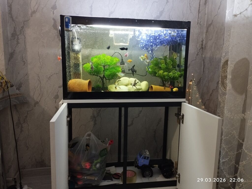 Akvaryum dəsti – şkaflı və tam işlək sistem salam her vaxtınız xeyir