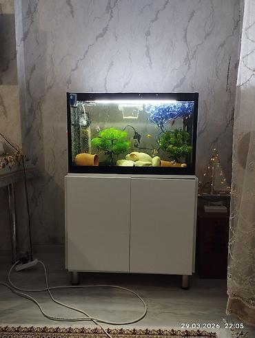 Akvaryum dəsti – şkaflı və tam işlək sistem salam her vaxtınız xeyir - şəkil 5