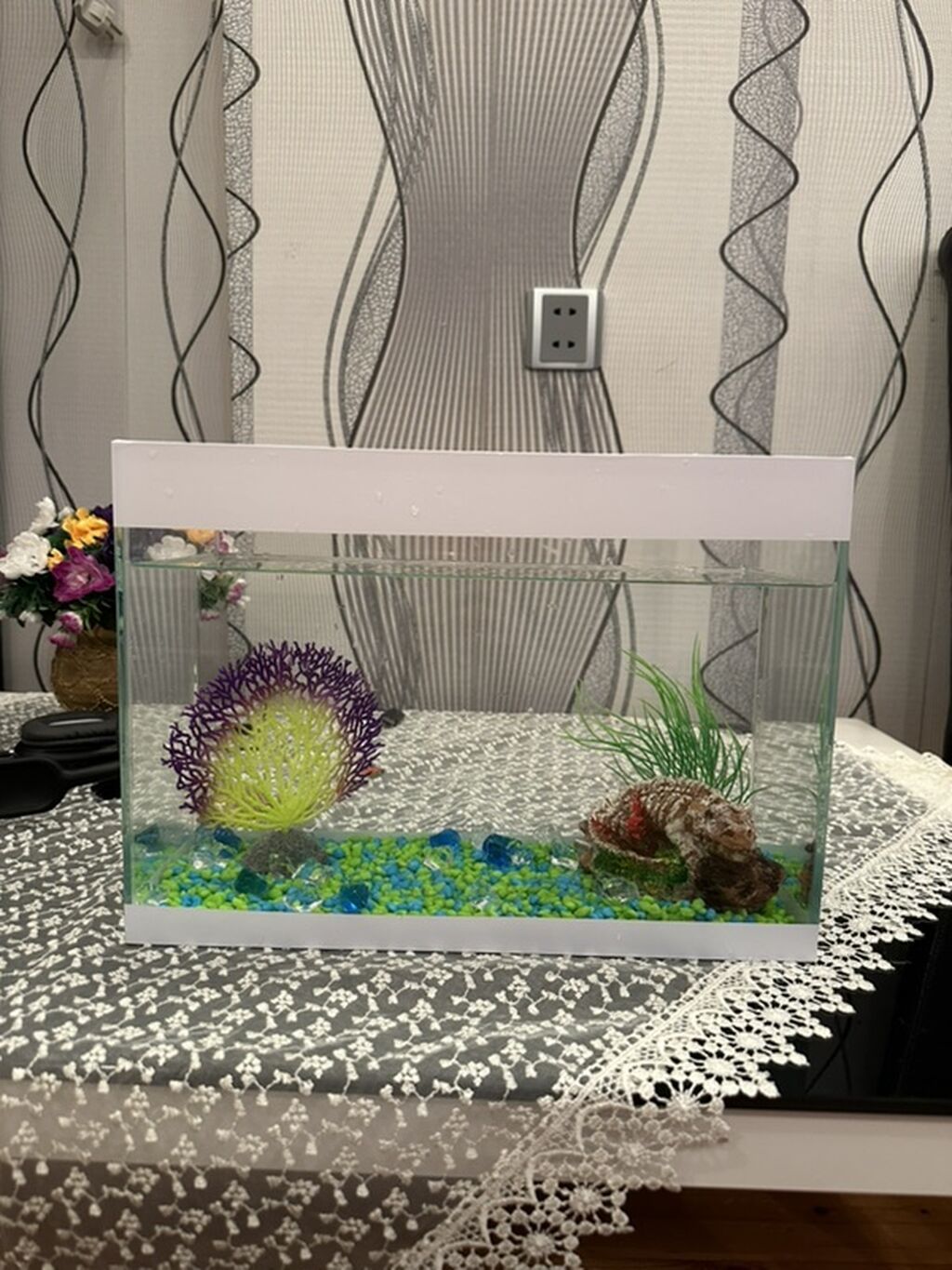 Akvaryum dəsti Akvaryum satılır.Daşlar,bəzəklər,balıq yemi və 3ədəd