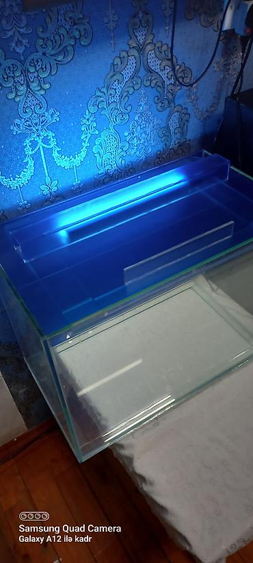 Salam istənilən ölçüdə akvarium ən azı 30 litrdən yuxarı münasib - şəkil 3