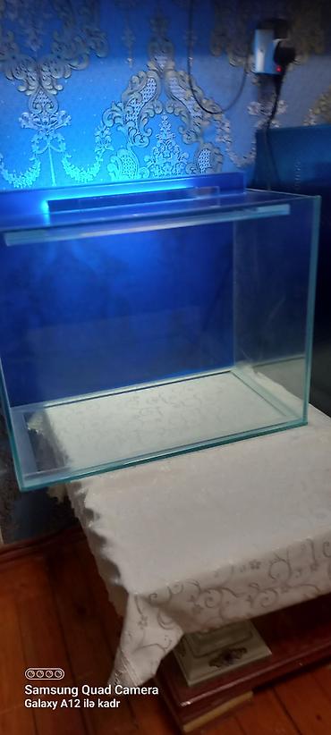Salam istənilən ölçüdə akvarium ən azı 30 litrdən yuxarı münasib - şəkil 5
