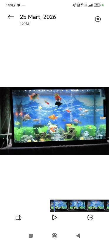 Dördbucaq akvarium, Boş, 96 l, Ünvandan götürmə - şəkil 3