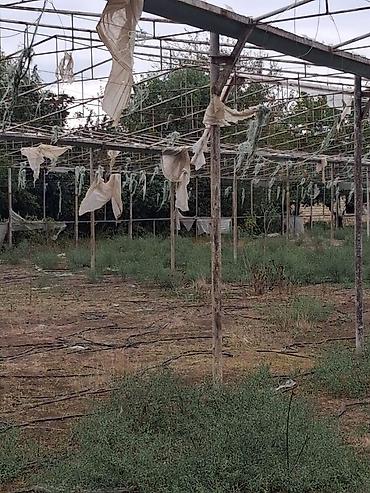 Sökülmüş istixana konstruksiyası - Metal karkaslı istixana çərçivəsi - şəkil 4