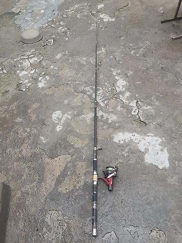 Bir dene balig tutan unvan Bileceri - şəkil 2