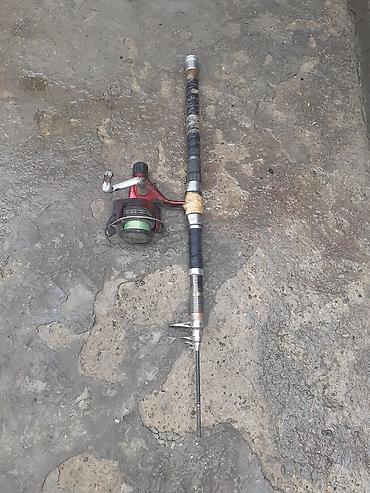 Bir dene balig tutan unvan Bileceri - şəkil 3