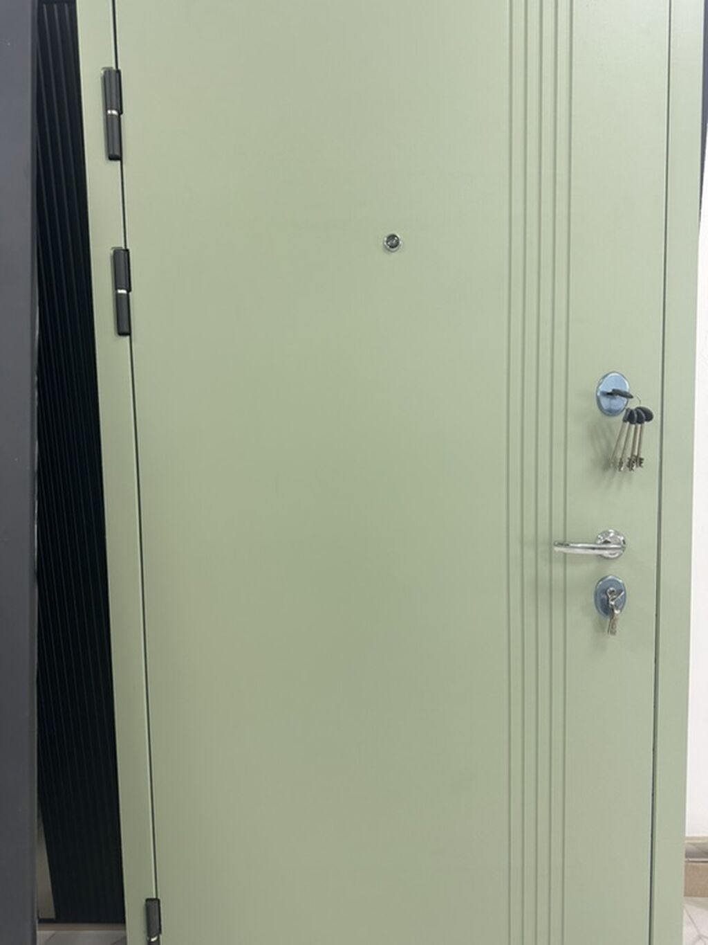 Metal giriş qapıları – müxtəlif dizayn və rənglərdə - Material